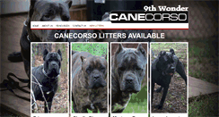 Desktop Screenshot of 9thwondercanecorso.com