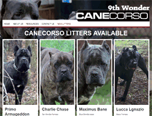 Tablet Screenshot of 9thwondercanecorso.com